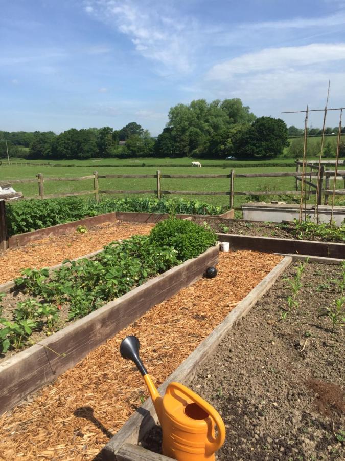 Barons Granary Bed & Breakfast Rye Luaran gambar